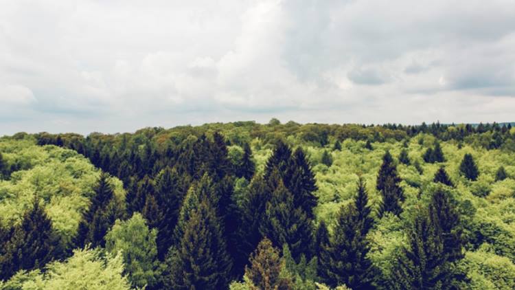 innovation centre denmark silicon valley