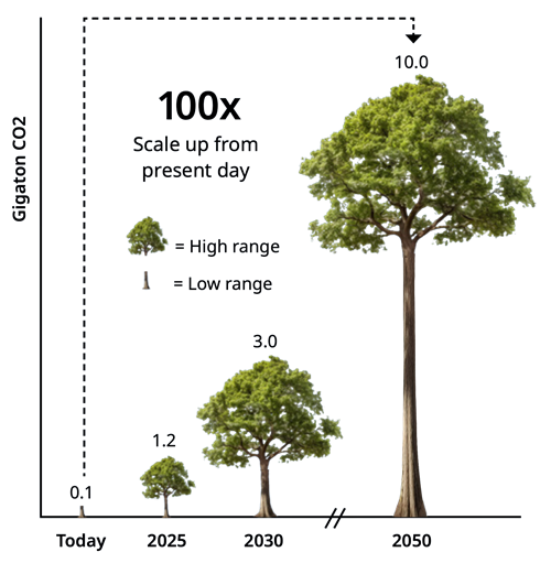 Climate Resilience