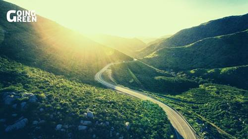 Silicon valley going green ecosystem