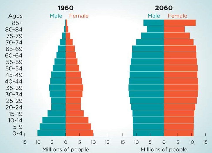 TTRN Population Pyramid