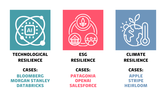 Future of Resilience - Case Categories