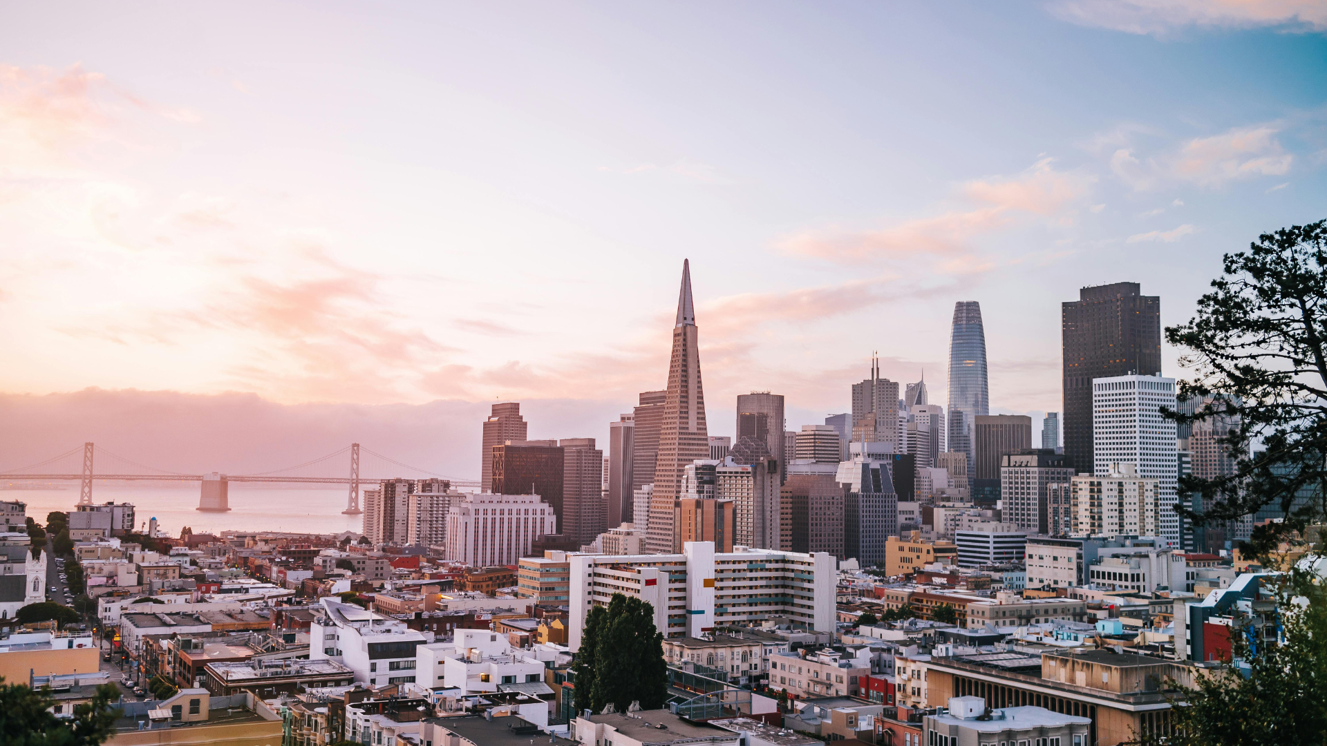 San Francisco Skyline 