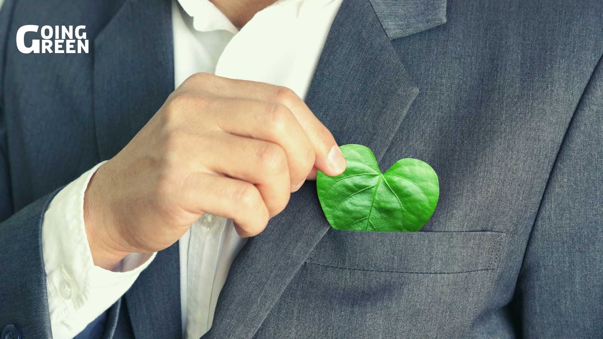 Green ecosystem silicon valley